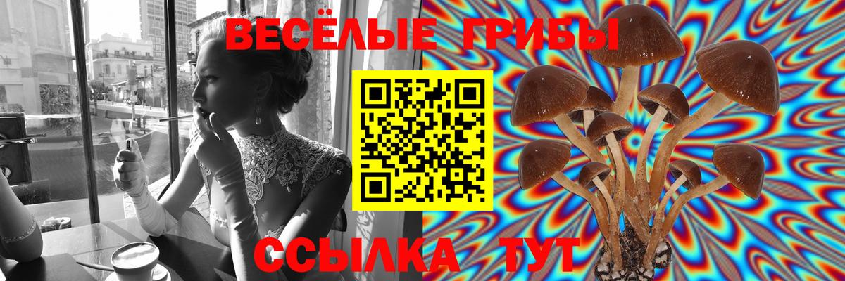 Псилоцибиновые грибы MAGIC MUSHROOMS  купить   Вход с VPN  Гай  Псилоцибиновые грибы мицелий 