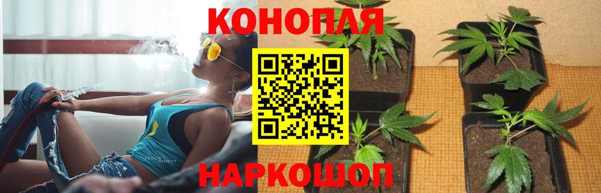 Бошки марихуана индика  Вход с VPN  МАРИХУАНА THC 21%  Бошки Шишки планчик  Гай 